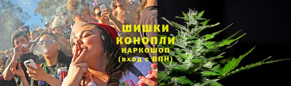 винт Елизово