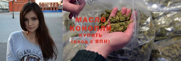 прущий лед Вяземский