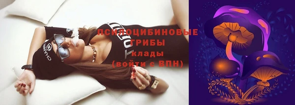 прущий лед Вяземский