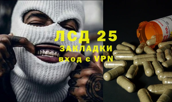 прущий лед Вяземский