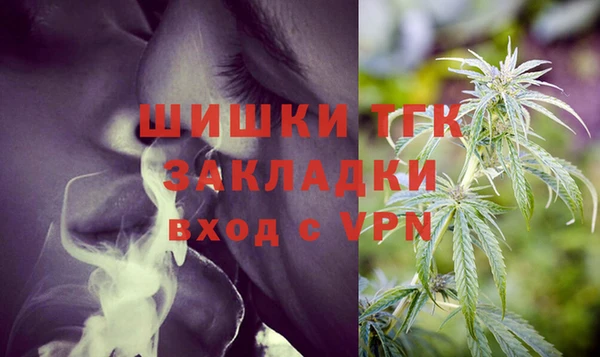 прущий лед Вяземский