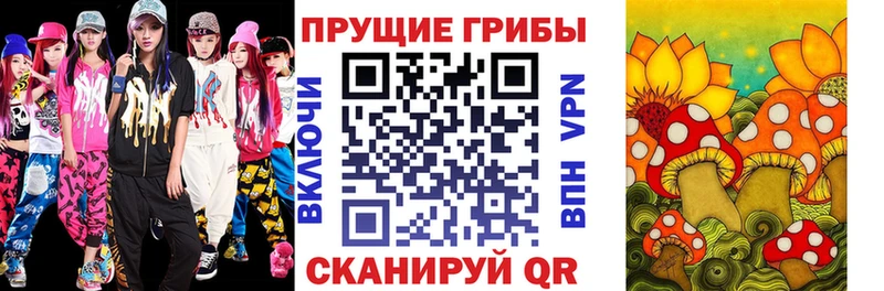 Псилоцибиновые грибы MAGIC MUSHROOMS  даркнет сайт  Грязи 