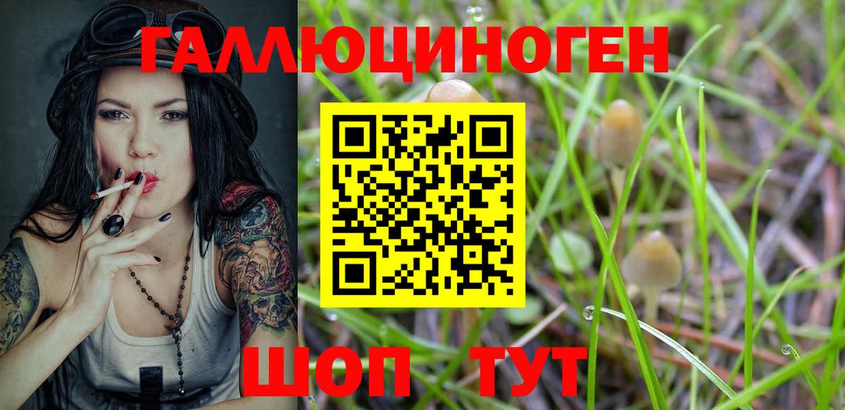 Псилоцибиновые грибы мицелий Грязи