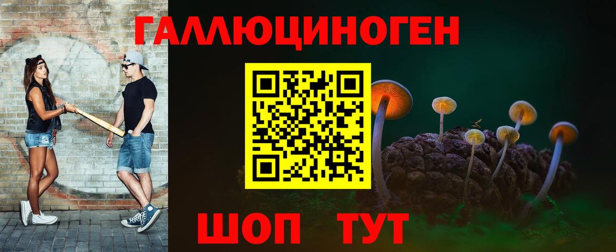 Грязи  Псилоцибиновые грибы Cubensis  Вход с VPN 
