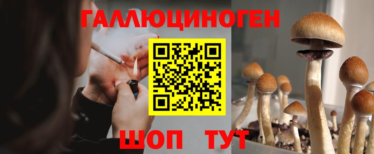 Галлюциногенные грибы мицелий  дарнет шоп  Грязи  Псилоцибиновые грибы Cubensis 